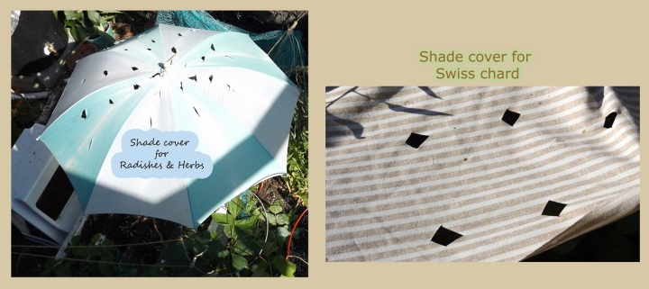 August 11th 2016 - Umbrella and homemade shade cover - 010